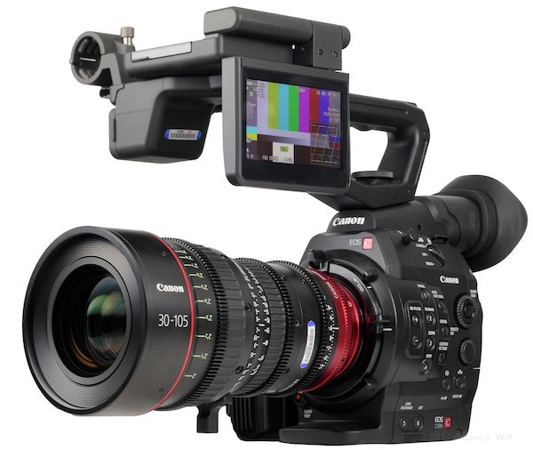bereik Verst Vervelen Review: Canon Cinema EOS C500