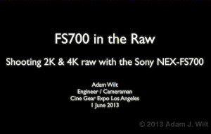 Sony NEX-FS700 in the Raw